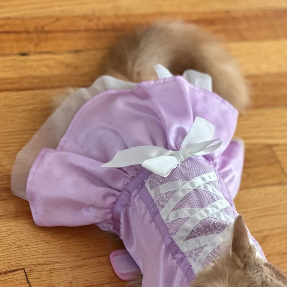 Cat princess Halloween costume